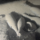 Illustration for article titled This Is What 170-Year-Old Champagne From a Shipwreck Tasted Like
